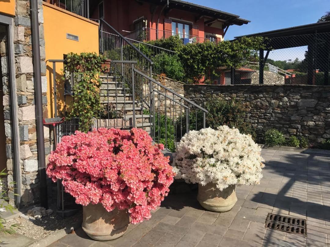 Vill'Ariel Sport & Relax Villa Brovello-Carpugnino Eksteriør bilde